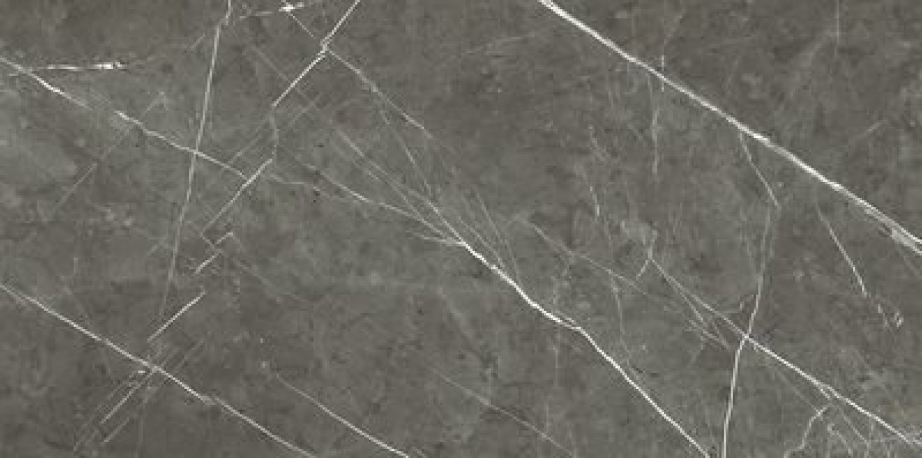 Плитка Prexious Rex Charming Amber Mat R 755835 матовая темно-серый мрамор 120x60 9мм Rex Ceramiche