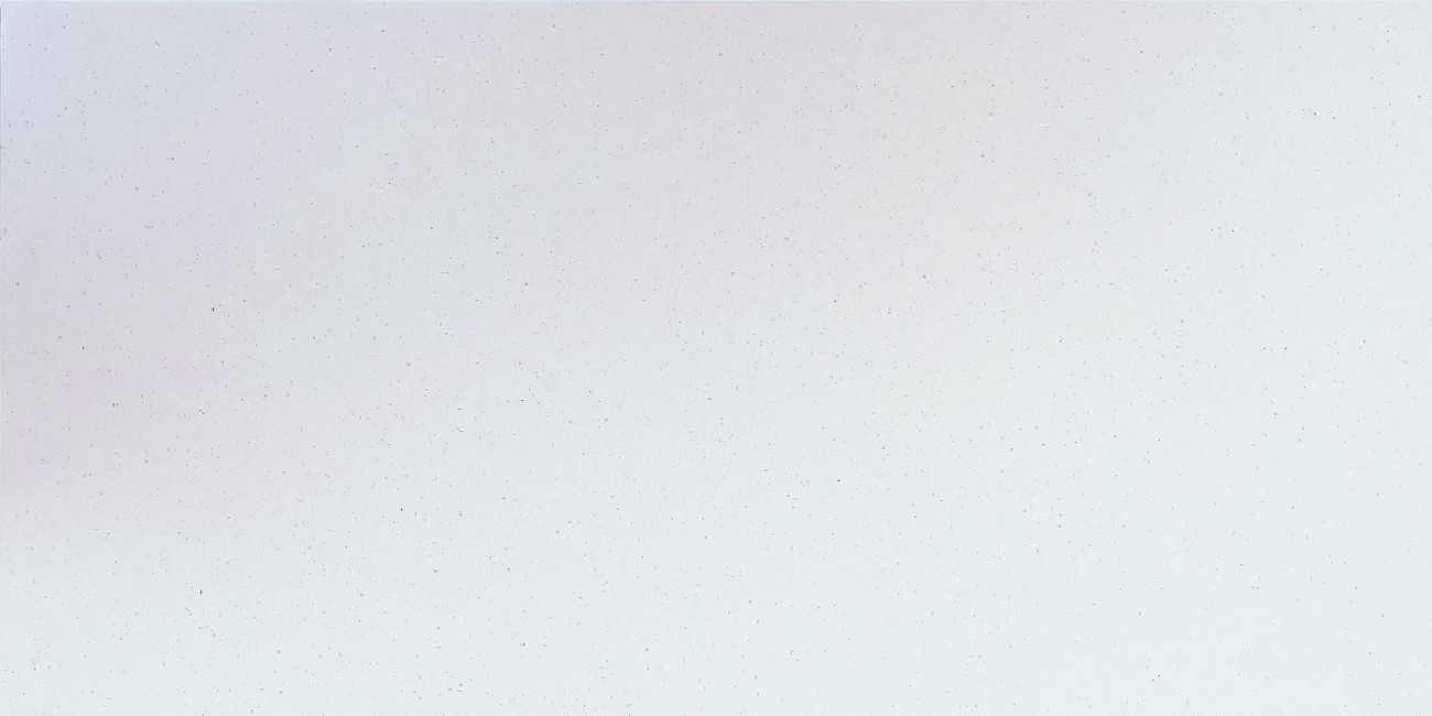 Керамогранит 120x60 Magic Silver матовая Armano