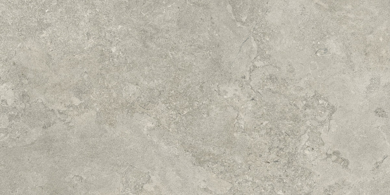 Керамогранит 120x60 Portraits Newport матовая Ceasar