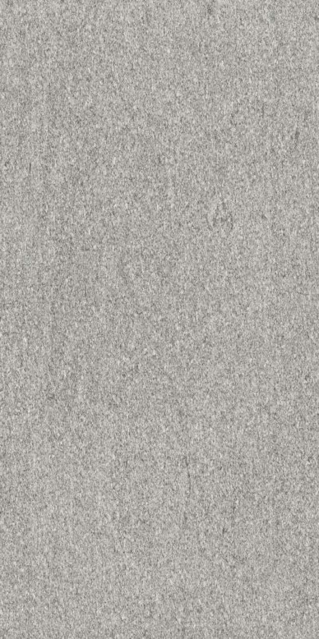 Плитка Biotech Serizzo Stone R10 Natural 778782 матовая 240x120 6мм Floor Gres
