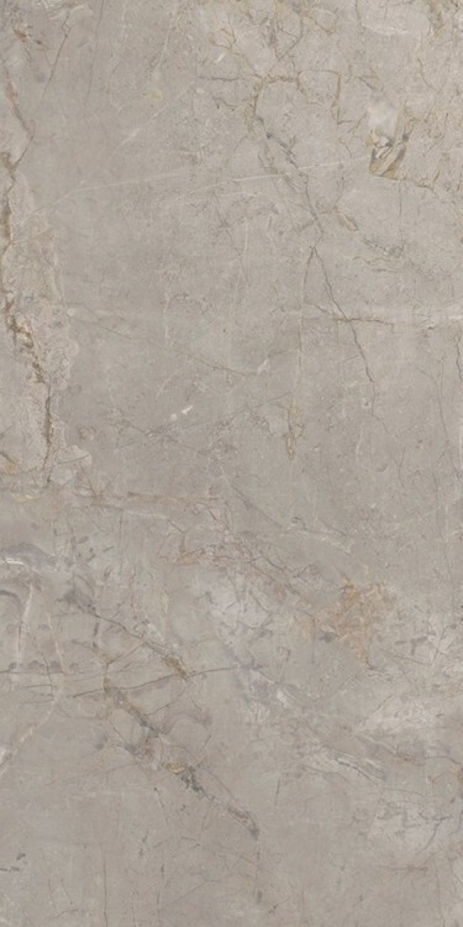 Плитка Elements Lux Silver Grey Nat 22A2 серый мрамор 120x60 9мм Keope