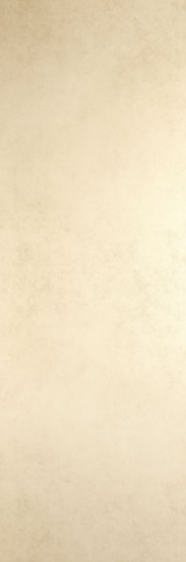 Плитка Blend Avorio 5 Lamf004538 матовая бежевый бетон, цемент 300x100 6мм Laminam