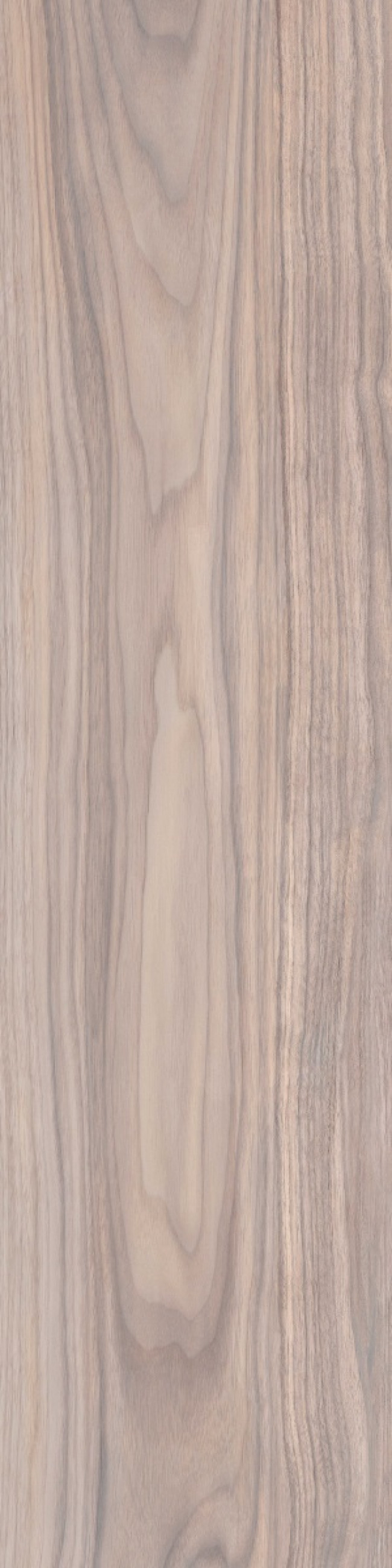 80x20 Forest Crema WD09 дерево бежевый матовая 9мм Primavera