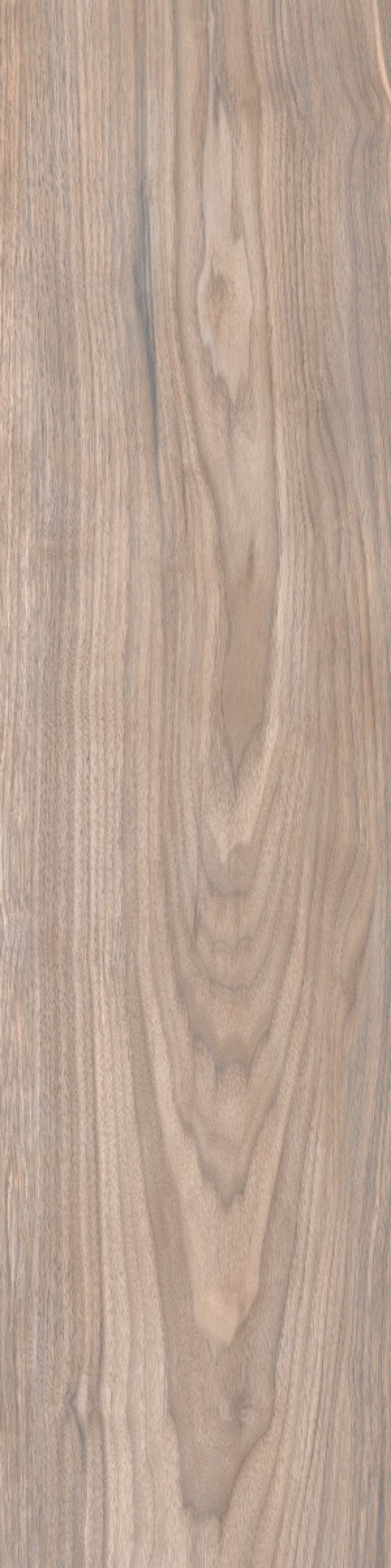 80x20 Forest Gold Terra WD11 дерево бежевый матовая 9мм Primavera