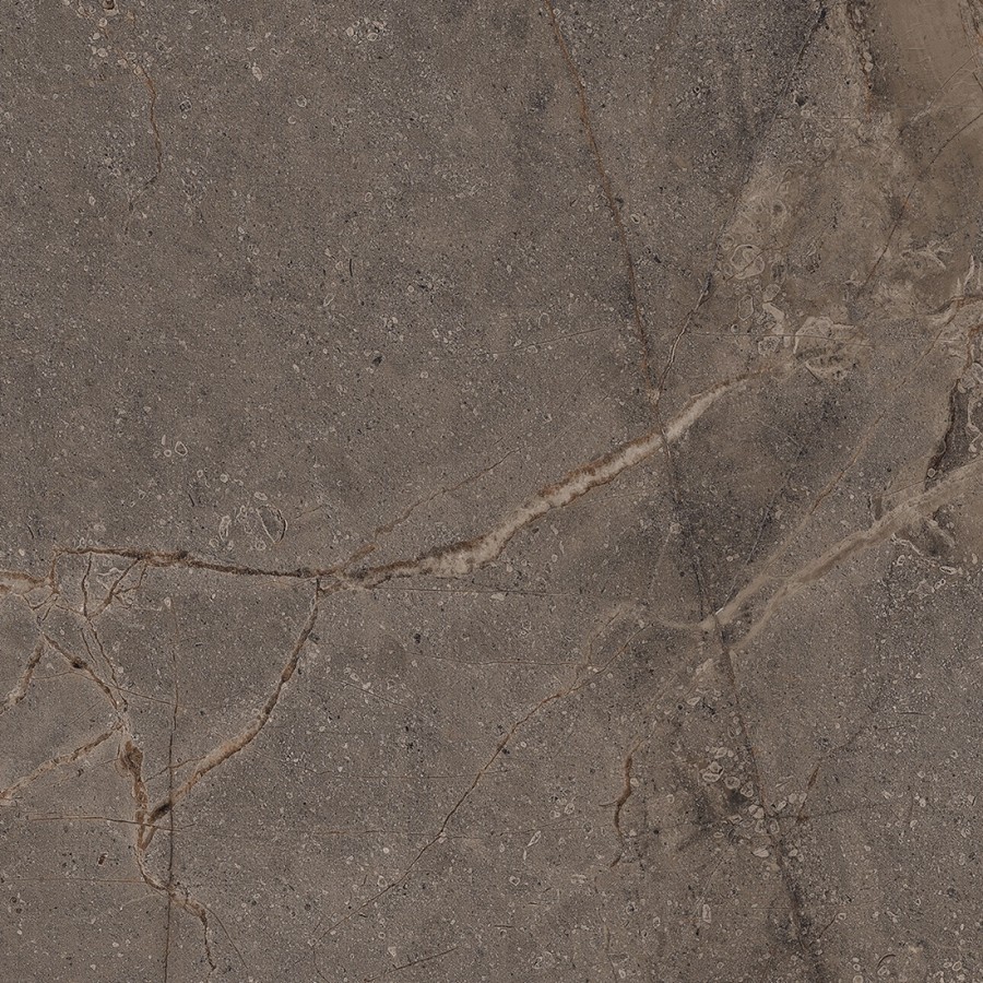 Керамогранит 60x60 9мм Мия темный сахарный карвинг матовая Realistik