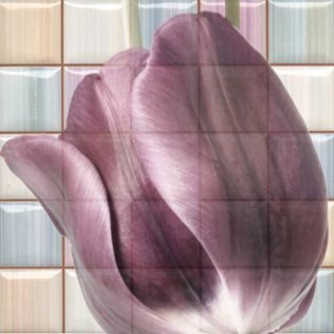 Керамический декор RCS000061 Magik Decorado Frame A Mix 32x32 для стен глянцевая Rocersa