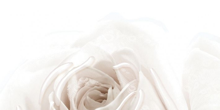 Плитка 50x25 Нежность глянцевая бежевый Belleza