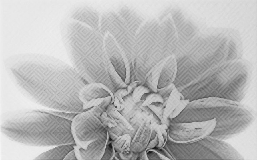 Плитка 40x25 Камелия глянцевая белый Unitile