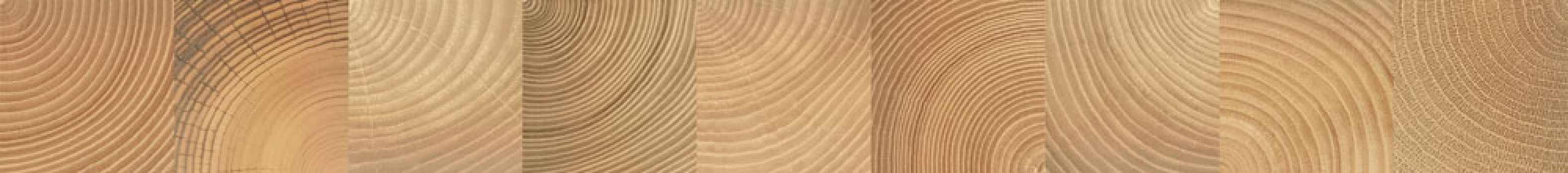 Плитка 75x8 Шиен матовая темно-бежевый Керамин