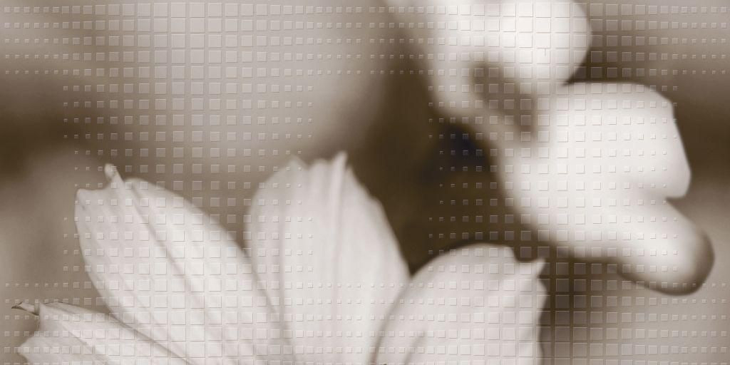 Плитка 40x20 Восхищение глянцевая бежевый Нефрит-Керамика