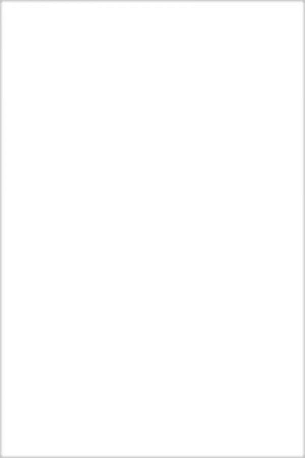 Плитка 40x20 Мидаль матовая белый Нефрит-Керамика