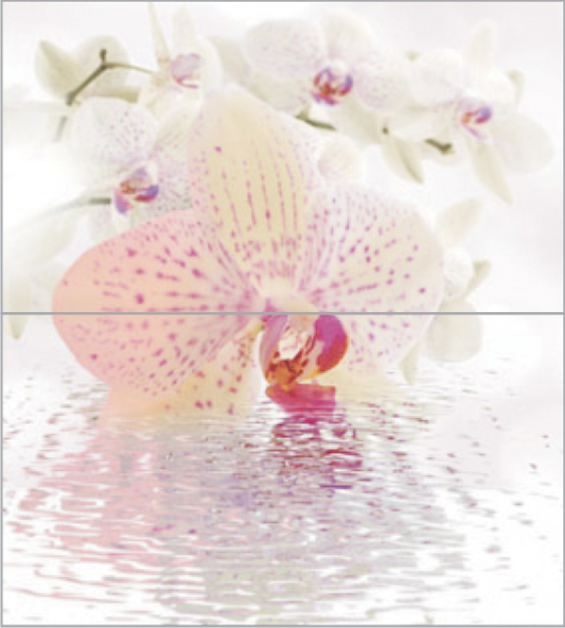 Плитка настенная 50x45 панно Дэк панно из 2-х шт КПН16Orchid Орхид глянцевая глазурованная Ceradim