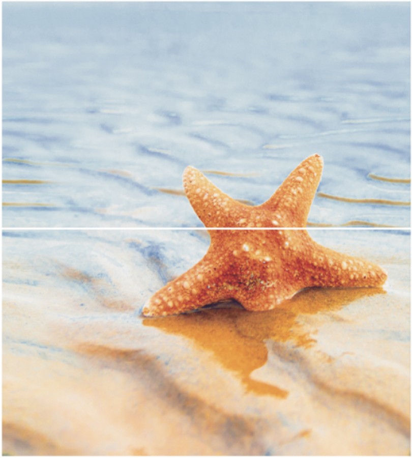 Плитка настенная 50x45 панно Дэк 1 панно из 2-х шт КПН16Starfish1 Старфиш глянцевая глазурованная Ceradim