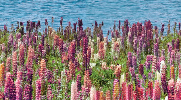 Плитка настенная 45x25 декор Дэк Флора КВС16Flora Форест глянцевая глазурованная Ceradim