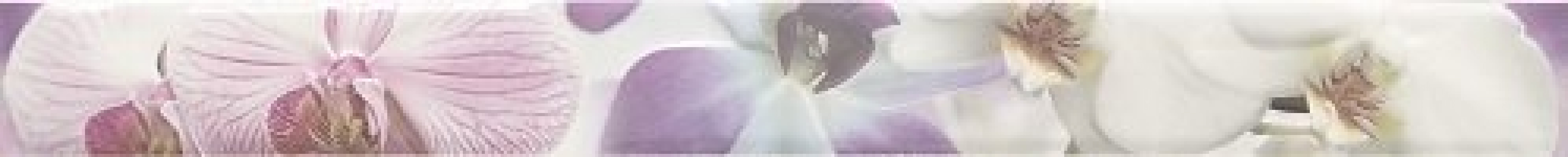 Керамический бордюр MLL000029 брак Paris Listelo Orquidea Lila 75x8 для стен глянцевая Mallol