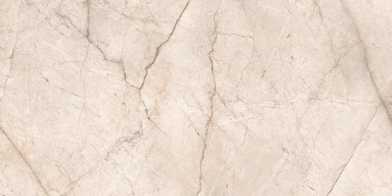 Керамический гранит OC0000047 Silver Root Pearl 160x80 для пола и стен полированная Ocean Ceramic India