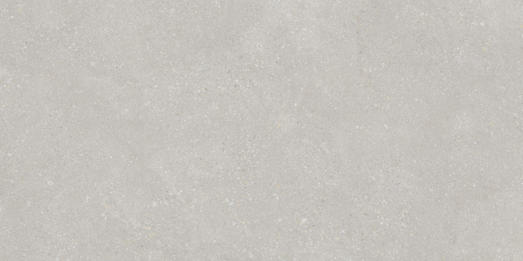Керамический гранит PT12F7048 Pietra Light Grey 120x60 для пола и стен матовая Protiles