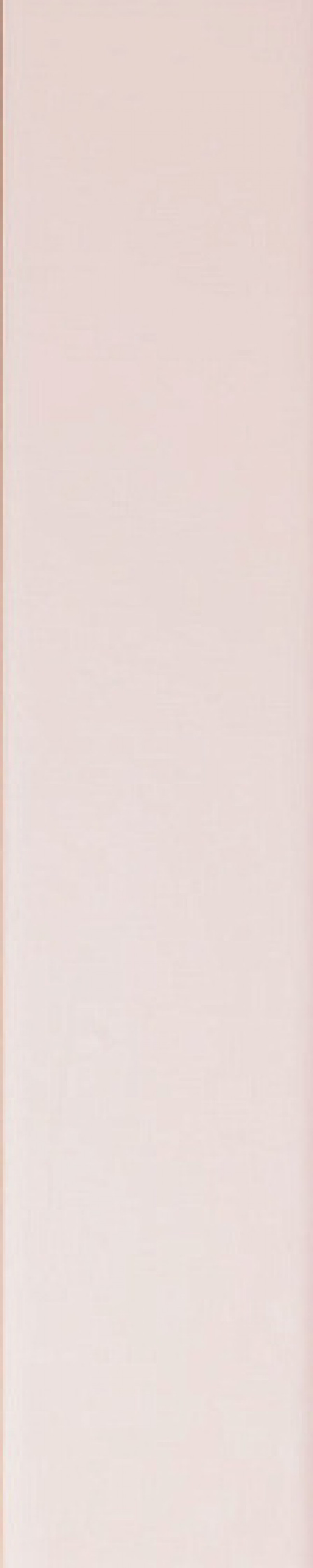 Плитка настенная 25x5 Spectre Rose Matte 4100723 41Zero42